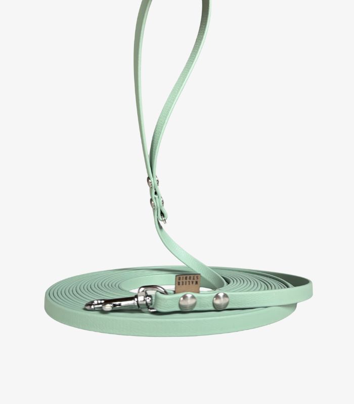 linka treningowa biothane szałwia