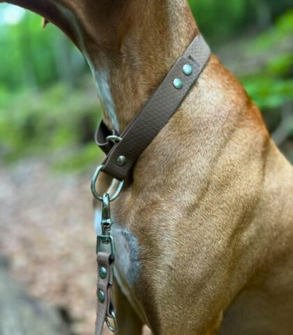 Obroża półzaciskowa Hexa - bladobrązowa