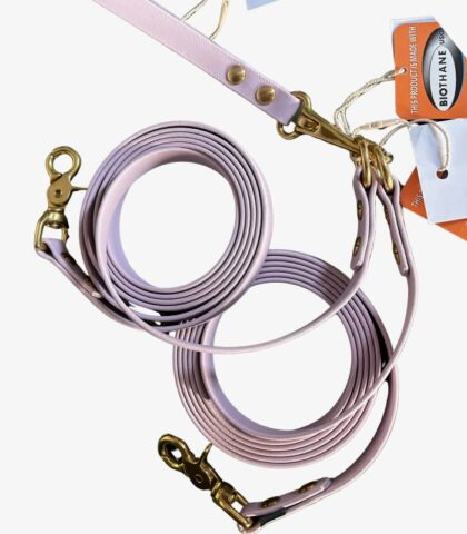 Zestaw dla dwóch psów - dopinki Biothane