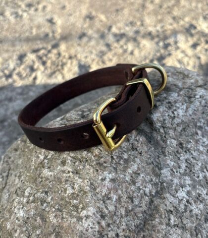obroża skórzana dla psa